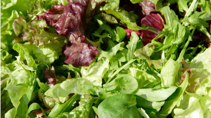 Een lekkere salade op een blauw bord.